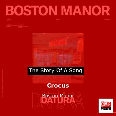 Crocus – Boston Manor