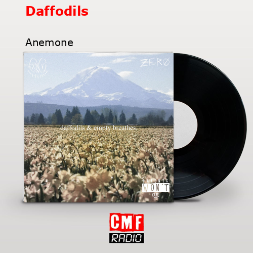 Daffodils – Anemone