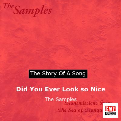 Did You Ever Look so Nice – The Samples