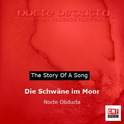 Die Schwäne im Moor – Nocte Obducta