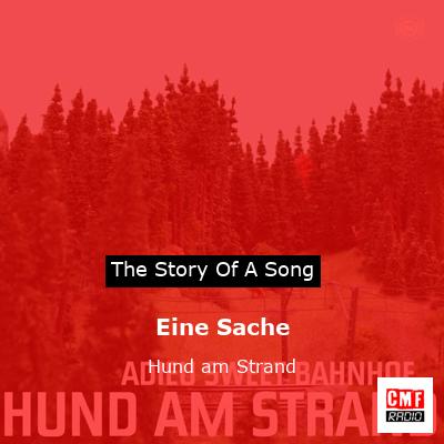 Eine Sache – Hund am Strand