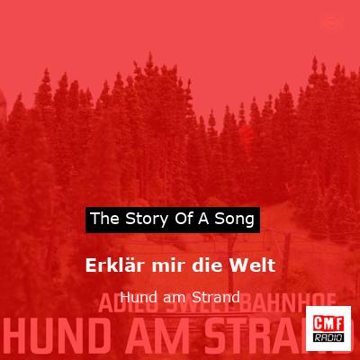 Erklär mir die Welt – Hund am Strand