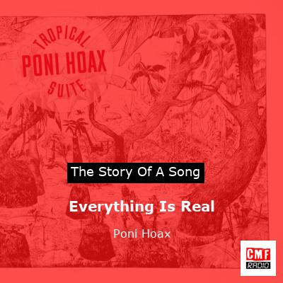Everything Is Real – Poni Hoax