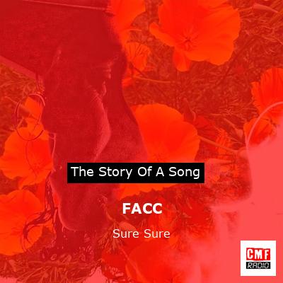 final cover FACC Sure Sure