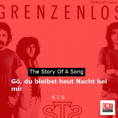 final cover Go du bleibst heut Nacht bei mir S.T.S