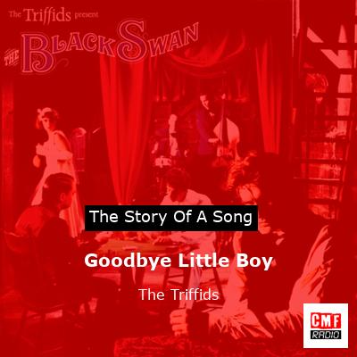 Goodbye Little Boy – The Triffids