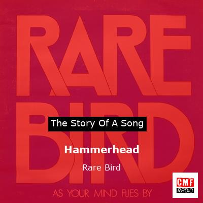 Hammerhead – Rare Bird