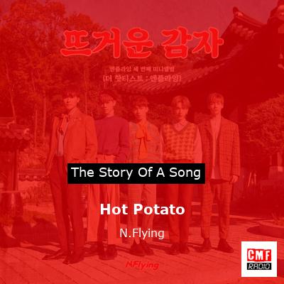 final cover Hot Potato N.Flying