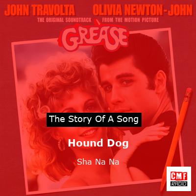 Hound Dog – Sha Na Na