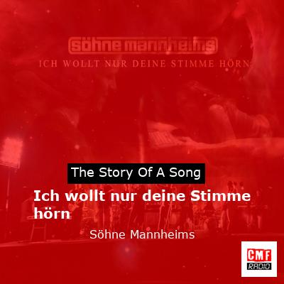 Ich wollt nur deine Stimme hörn – Söhne Mannheims
