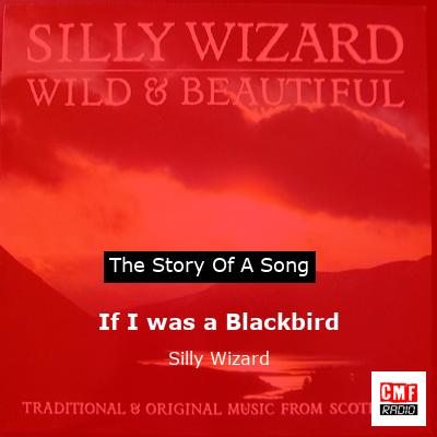 final cover If I was a Blackbird Silly Wizard