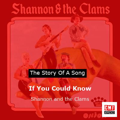 If You Could Know – Shannon and the Clams