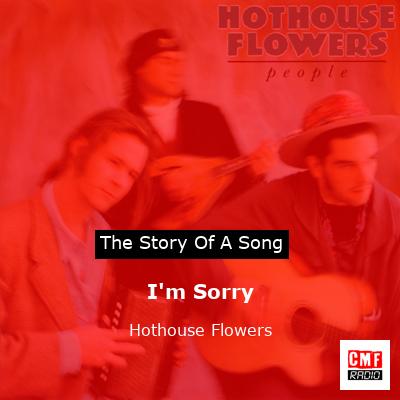 I’m Sorry – Hothouse Flowers