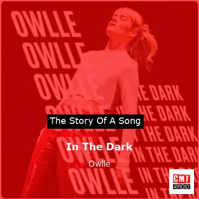 In The Dark – Owlle