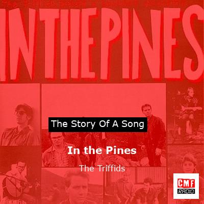 In the Pines – The Triffids