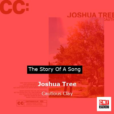 Joshua Tree – Cautious Clay