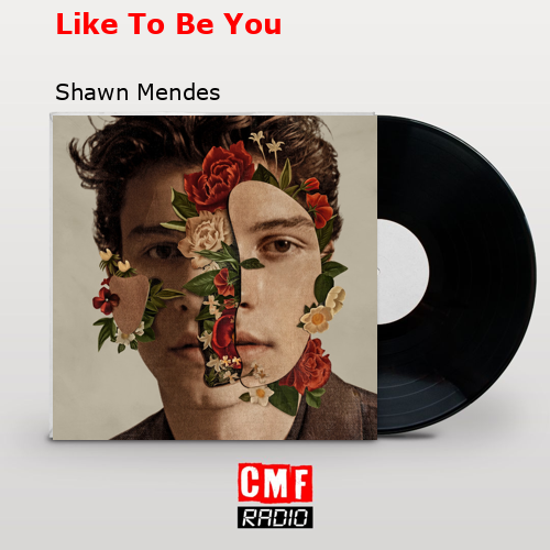 Like To Be You – Shawn Mendes