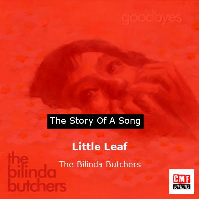 final cover Little Leaf The Bilinda Butchers