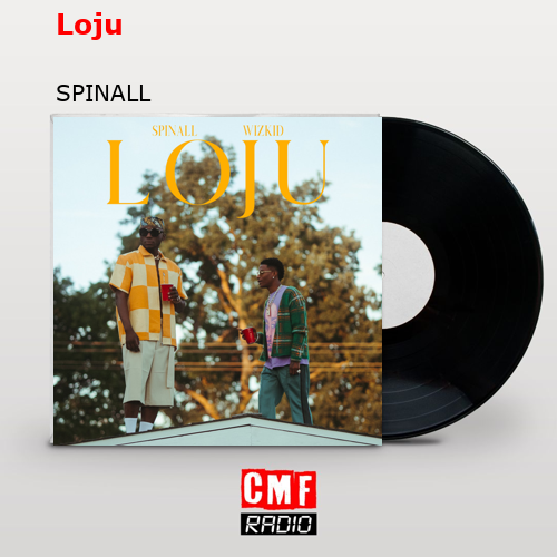 Loju – SPINALL
