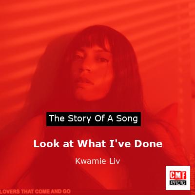 Look at What I’ve Done – Kwamie Liv