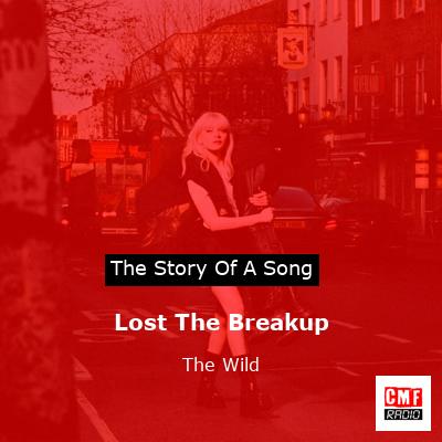 Lost The Breakup – The Wild