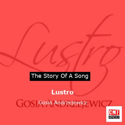 Lustro – Gosia Andrzejewicz