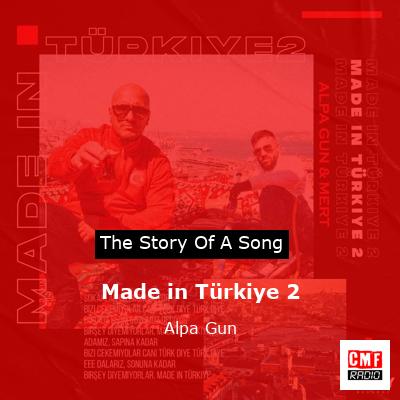 Made in Türkiye 2 – Alpa Gun
