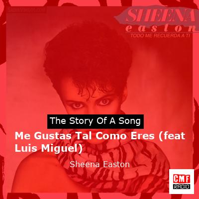 final cover Me Gustas Tal Como Eres feat Luis Miguel Sheena Easton