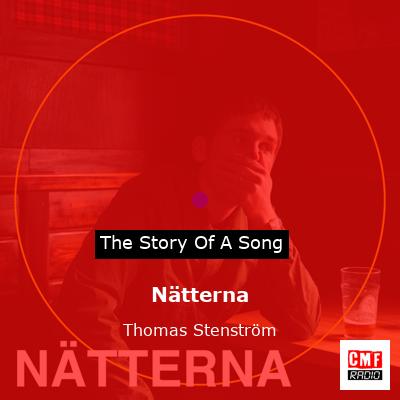 Nätterna – Thomas Stenström