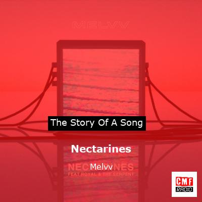 Nectarines – Melvv