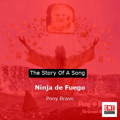 Ninja de Fuego – Pony Bravo