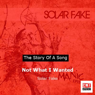 Not What I Wanted – Solar Fake