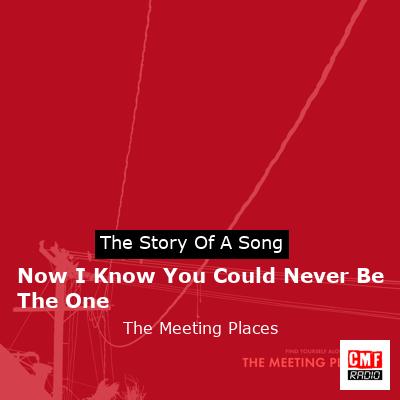 Now I Know You Could Never Be The One – The Meeting Places