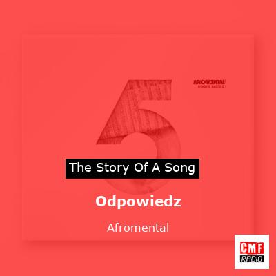 Odpowiedz – Afromental