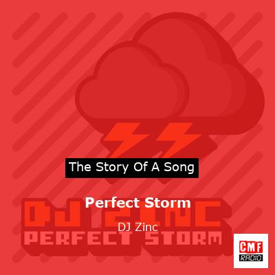 Perfect Storm – DJ Zinc