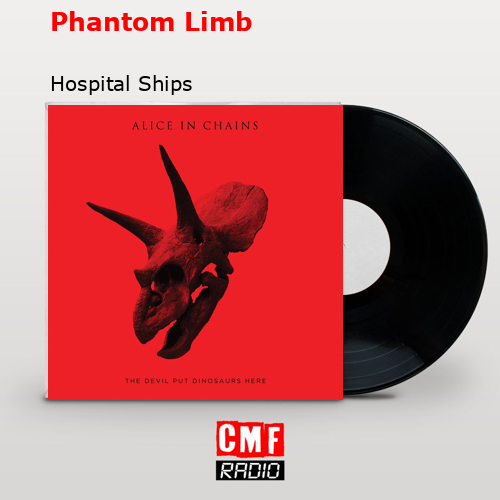 Phantom Limb – Hospital Ships