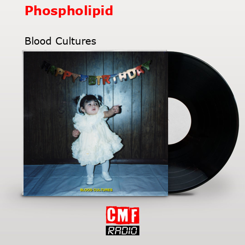 Phospholipid – Blood Cultures