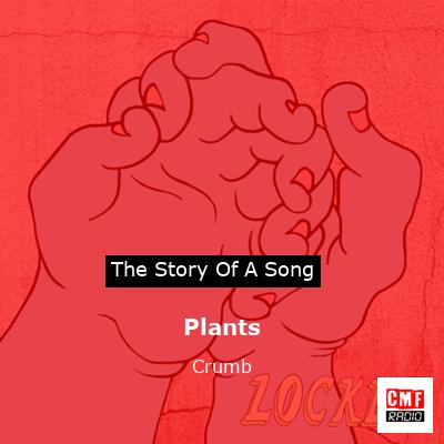 Plants – Crumb