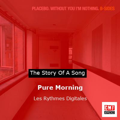 final cover Pure Morning Les Rythmes Digitales