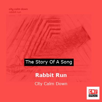 final cover Rabbit Run City Calm Down