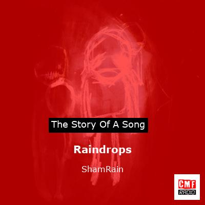 final cover Raindrops ShamRain