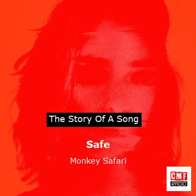 final cover Safe Monkey Safari