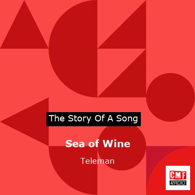 Sea of Wine – Teleman