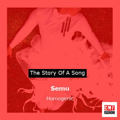 Semu – Homogenic