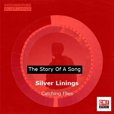 Silver Linings – Catching Flies