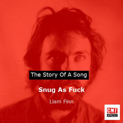 Snug As Fuck – Liam Finn
