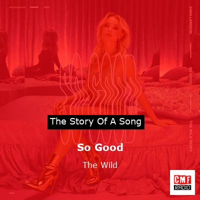 So Good – The Wild