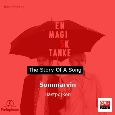 Sommarvin – Hästpojken