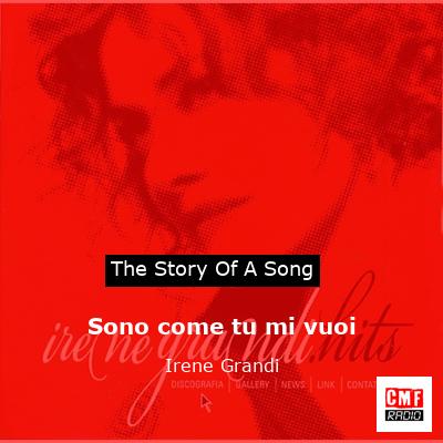 Sono come tu mi vuoi – Irene Grandi
