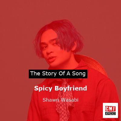 Spicy Boyfriend – Shawn Wasabi